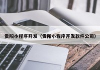 贵阳小程序开发（贵阳小程序开发软件公司）