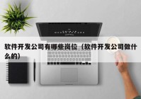 软件开发公司有哪些岗位（软件开发公司做什么的）