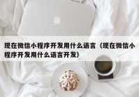 现在微信小程序开发用什么语言（现在微信小程序开发用什么语言开发）